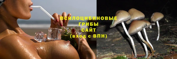 дмт Каменногорск