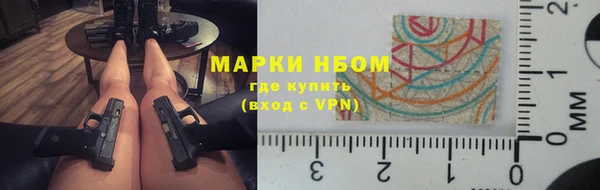 соль ск Каменка