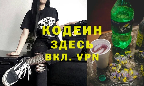 соль ск Каменка