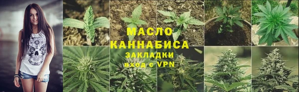 соль ск Каменка