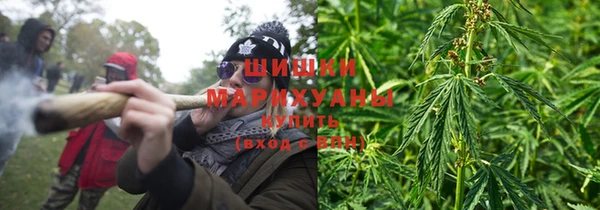 дмт Каменногорск