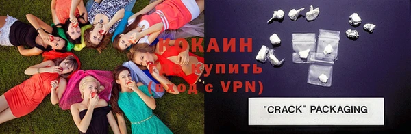 стаф Касимов