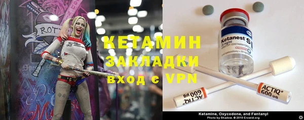 соль ск Каменка