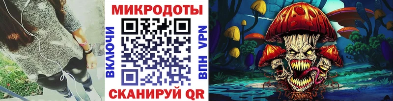 Купить закладки  Грайворон  Псилоцибиновые грибы Cubensis 